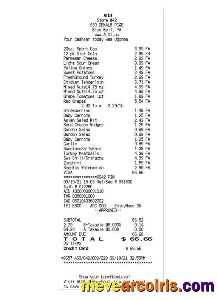 ALDI STORE receipt template